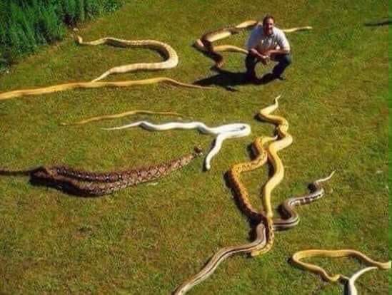 متخافش يابني كلنا حواليك و بنحبك وبنتمنالك الخير