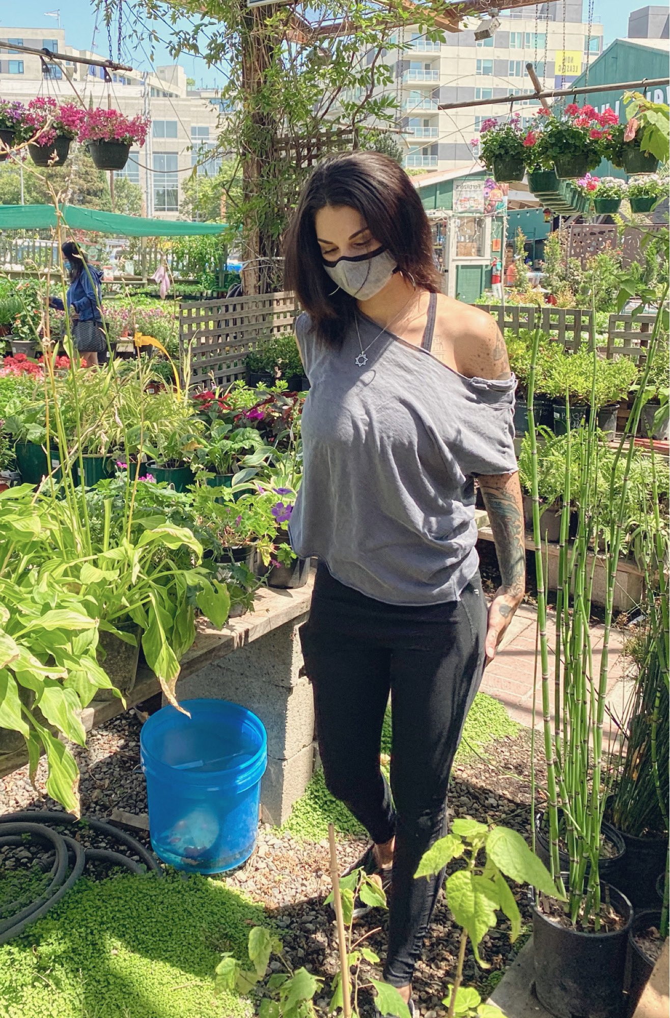 TW Pornstars - 3 pic. Alaina James. Twitter. Happy hump day my rotten