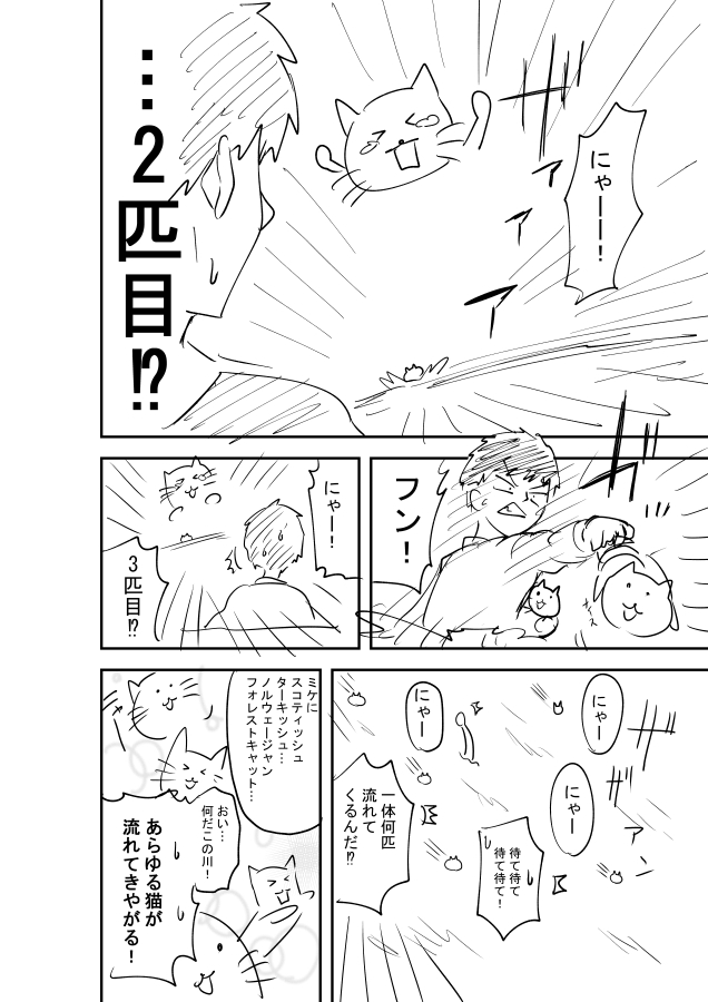 ただの落書き漫画す
部屋がもふもふになった話 