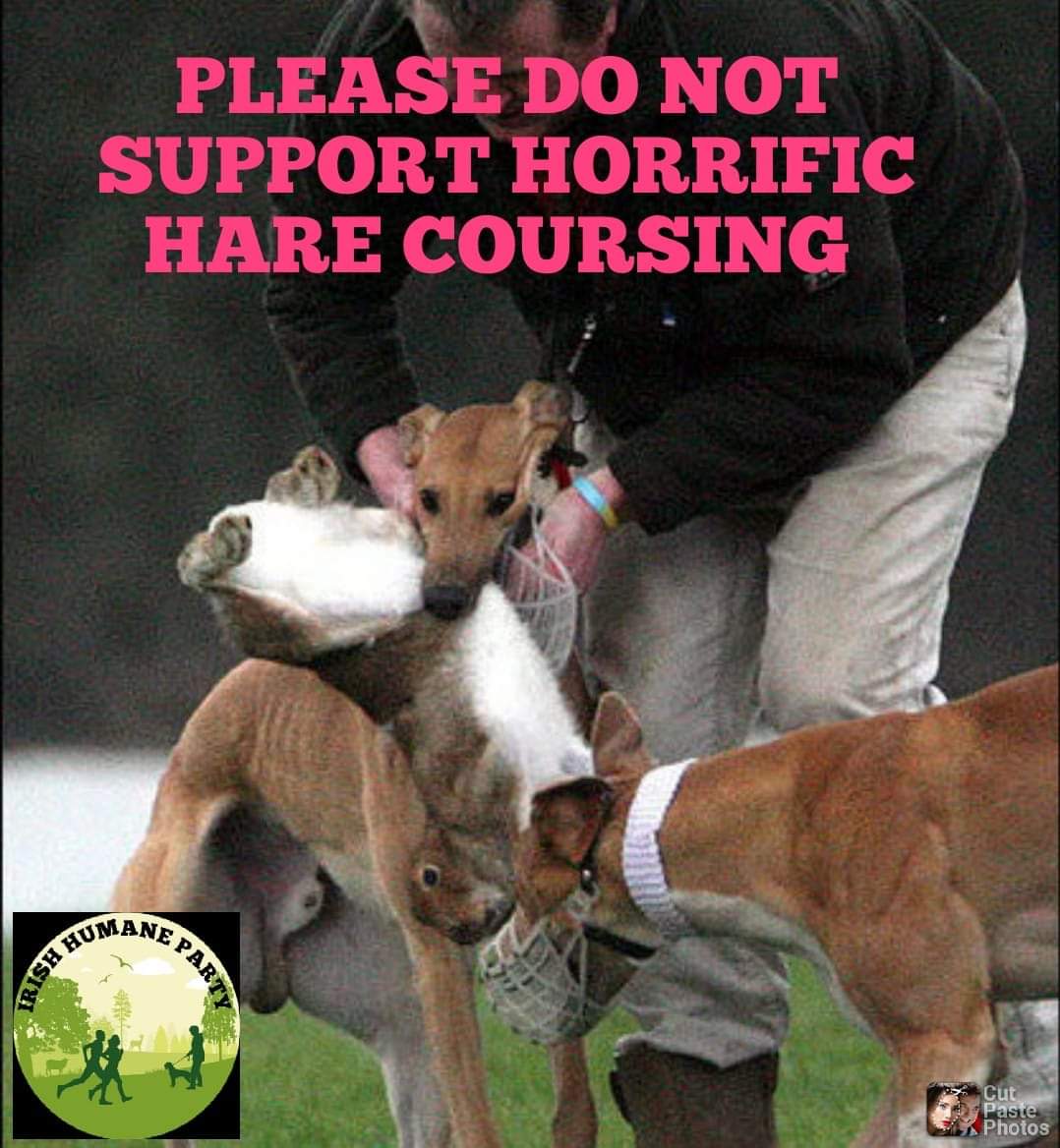 #TonightVMTV Minister Cowan supports blood sports. Voted for HareCoursing in the dail. Also is Ex greyhound racing stadium manager. Totally not suitable to be minister for agriculture in the first place.