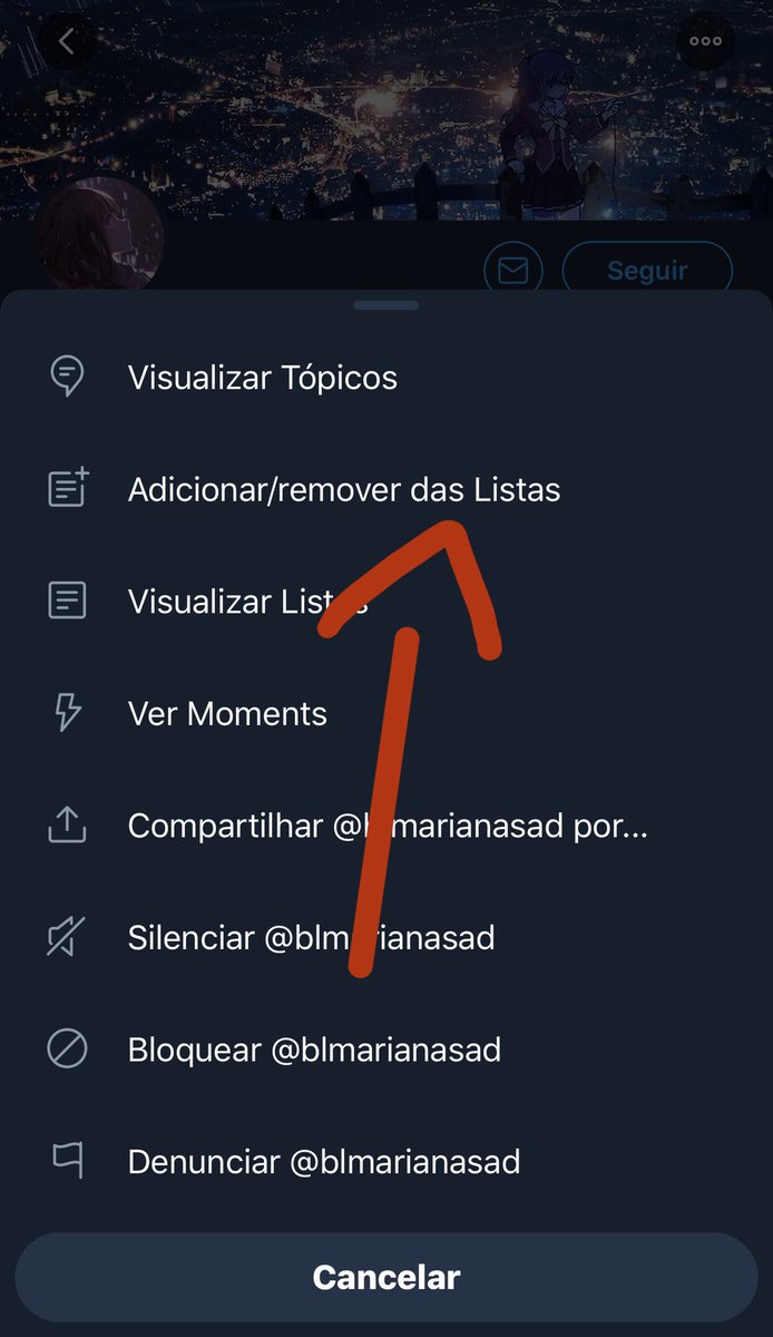 A outra forma é indo até o perfil da pessoa e clicando no lugar indicado. Vai aparecer a opção “Adicionar/remover das Listas” e, enfim, é só adicionar na lista desejada.