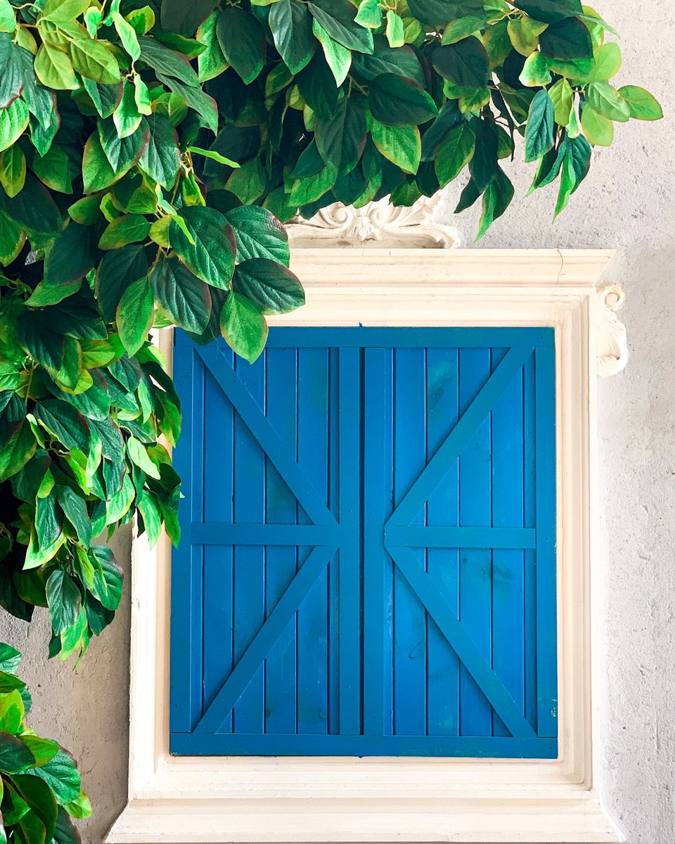 بِمَ تَحلَمُ البيوُت حِينَ تُغمِض النَوافِذ..؟