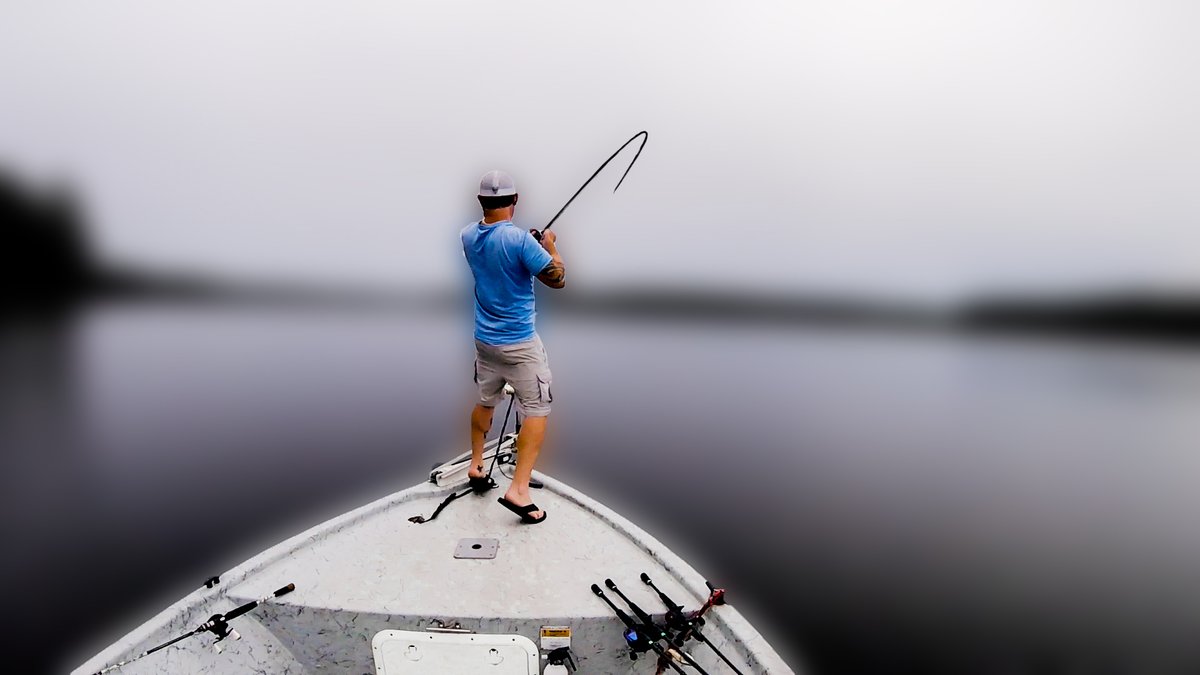 ReelJedi (@reeljedi) on Twitter photo 