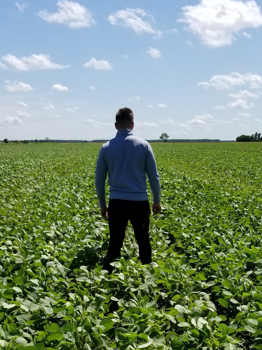 rempel_shawn's tweet image. Speechless...@southeastseeds @ShurGroFarmServ @Prograin_inc #IPsoybeans #Siberia #keepemclean  #donttellhimipostedthis