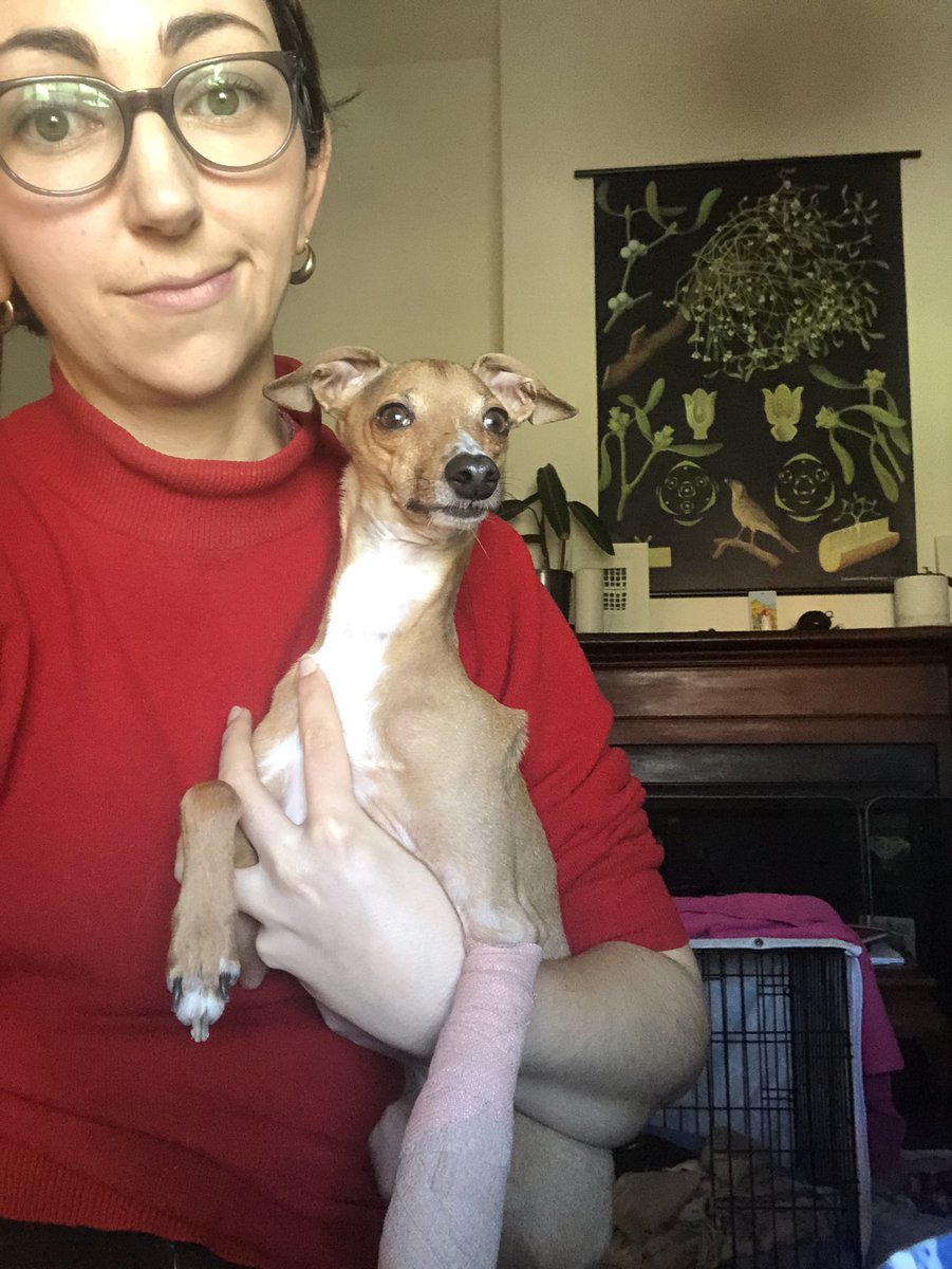 Today’s helper broke his leg two weeks ago so realistically I was never gonna leave the house for six weeks lockdown or no lockdown