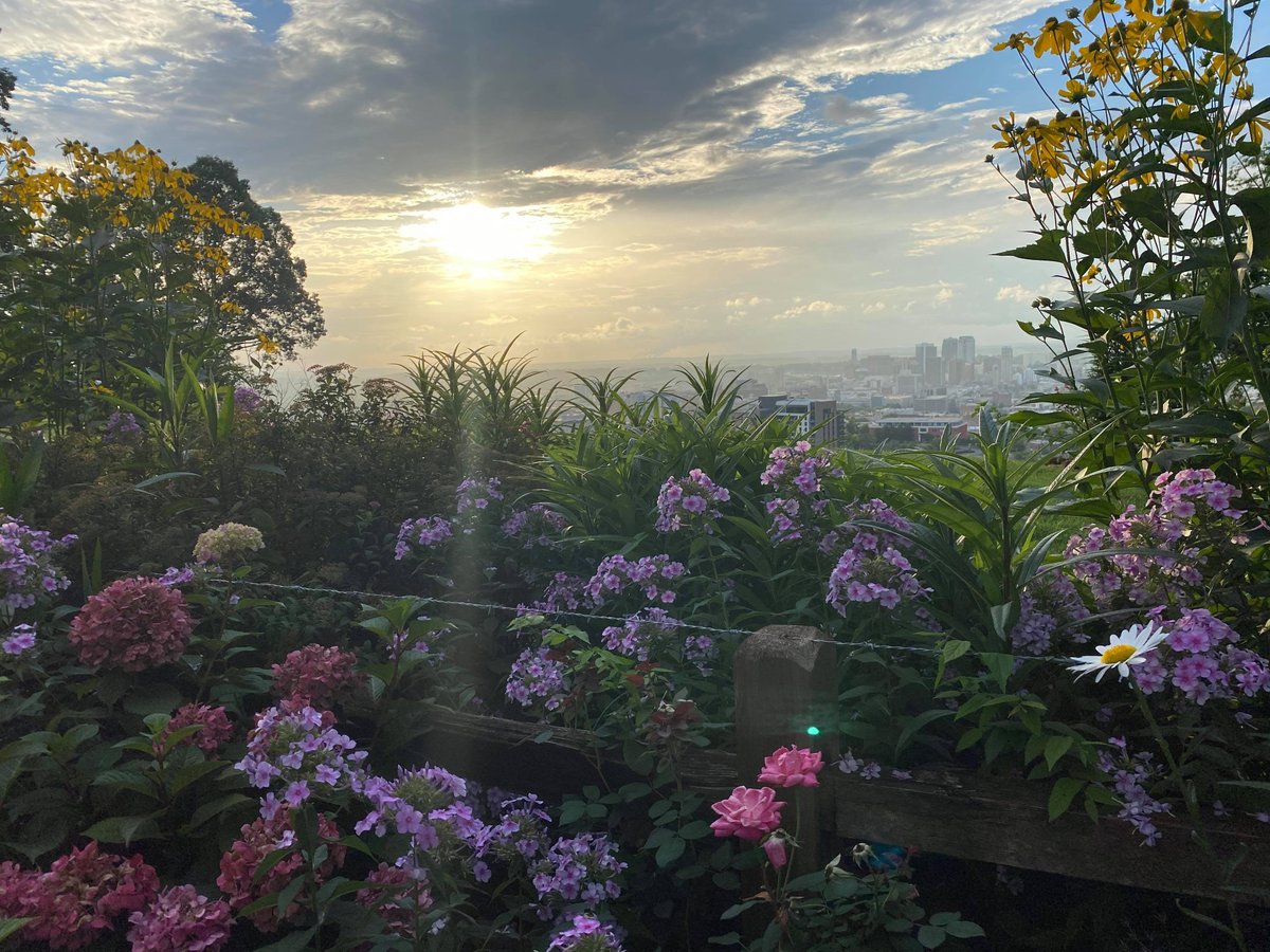 On This Date in Alabama Weather History The Cold Siege of 1940 Began