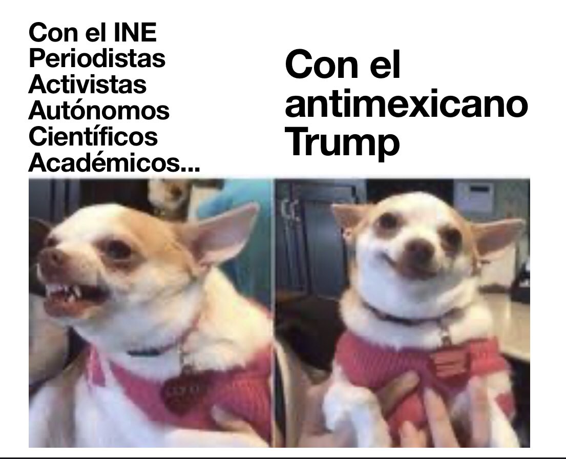 mariocampos's tweet photo. Revelaciones de la visita de @lopezobrador_ a Estados Unidos: https://t.co/orBMc6nJ95