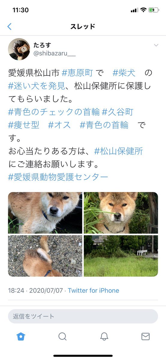 愛媛県動物愛護センター Twitter Search Twitter