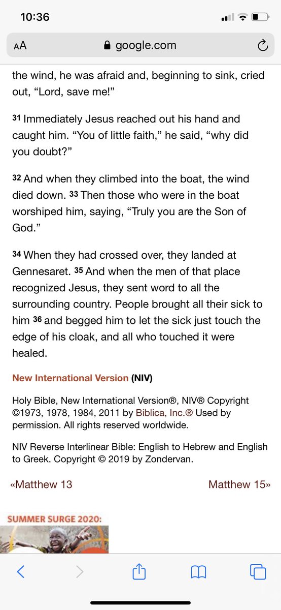 Here is another example from Matthew where Jesus is worshipped and does not correct nor rebuke his disciples. To me this shows that what his disciples did was correct and not idolatry. It is beyond the scope of this thread to discuss all instances of Jesus being worshipped.