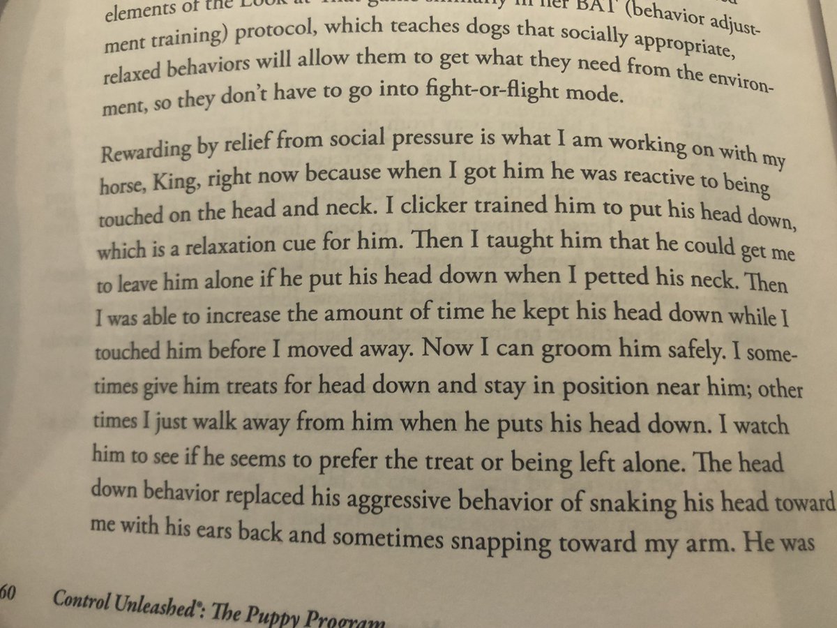 Teaching an animal to say no, and then respecting their no, is a great way to build a trusting relationship. The author backs off when her horse puts his head down.