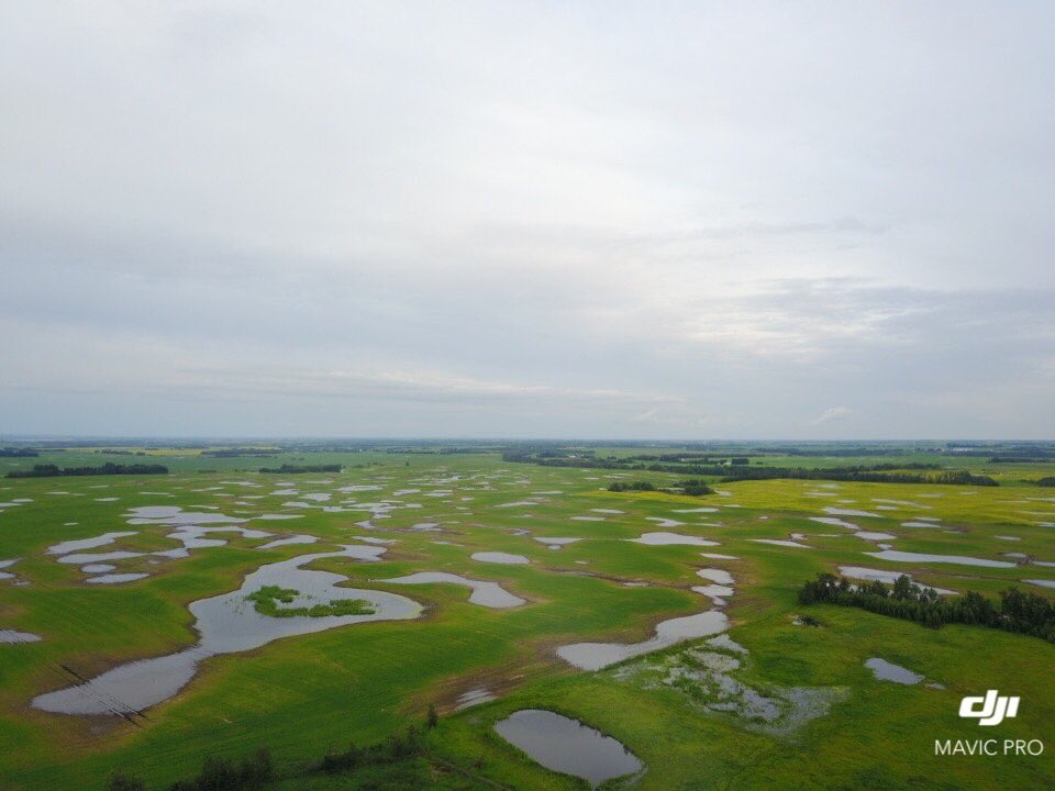 Zbolt007's tweet photo. Took the drone up for a tear because the kids wanted to see it fly, took it back down and went in the house for a drink #vodka https://t.co/JKKbQ0IE4V