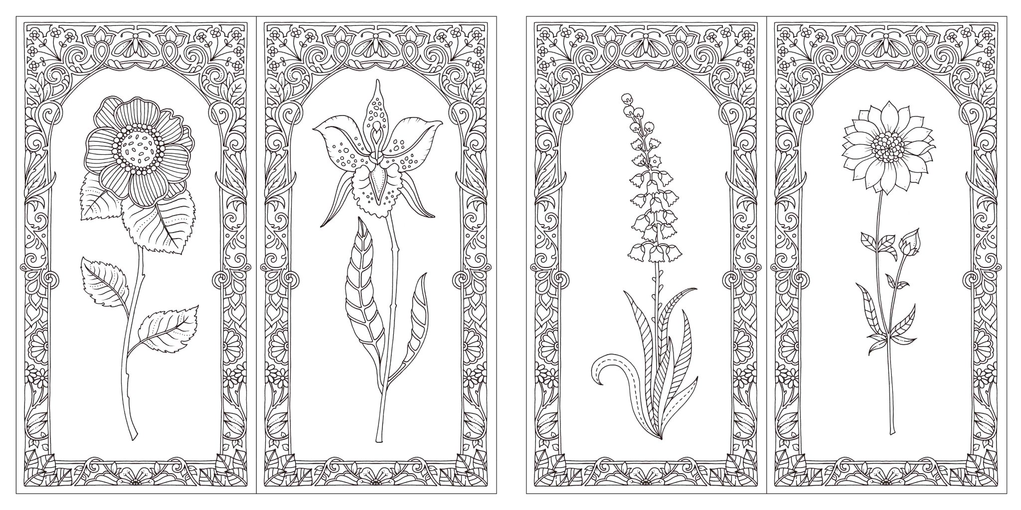 グラフィック社 大人の塗り絵 コロリアージュ お絵描き 重版情報 ひみつの花園のジョハンナ バスフォードによる 花 の ぬりえ フラワーズ 花を彩るぬりえブック の6刷りができました 細かすぎないパーツの大きさで 幅広い年齢の方にお楽しみ グラフィック社 大人の塗り絵 コロリアージュ お絵描き 重版情報 ひみつの花園のジョハンナ バスフォードによる 花 の ぬりえ フラワーズ 花を彩るぬりえブック の6刷りができました 細かすぎないパーツの大きさで 幅広い年齢の方にお楽しみ