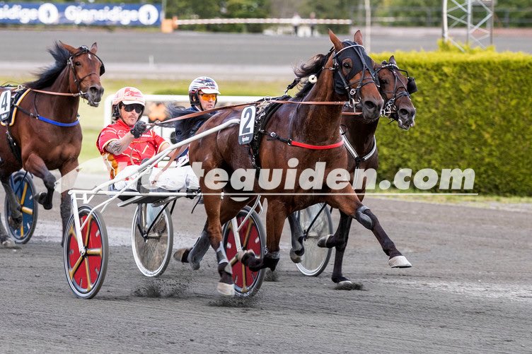 Stall vinnerbongens Goldstile var tilbake øverst på pallen i kveld etter en råsterk sisterunde. Dette smakte utrolig godt 🏅🌟🐴 #StallVinnerbongen #Goldstile #llv75