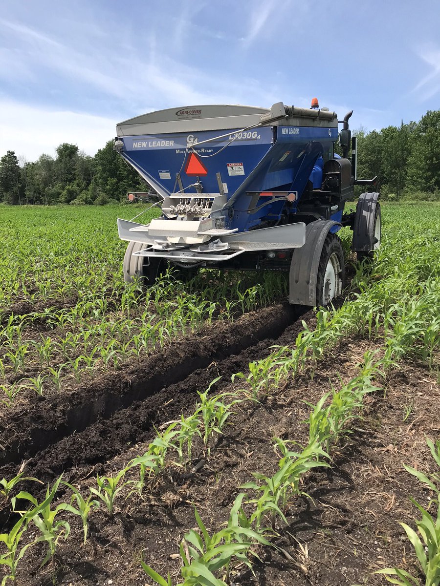 MitchellCurran7's tweet photo. All corn is consistent this year, it all was able to touch the back axle #topdress #burnbabyburn https://t.co/0hlaVjB5vM
