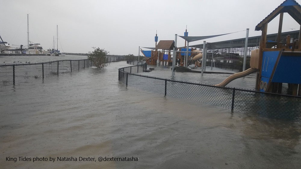 As sea levels rise, increased wave action pushes ocean water deeper into coastal communities, eliminating beaches, flooding private development, public infrastructure and coastal parks and trails. Coastal flooding poses a significant risk to life and property.