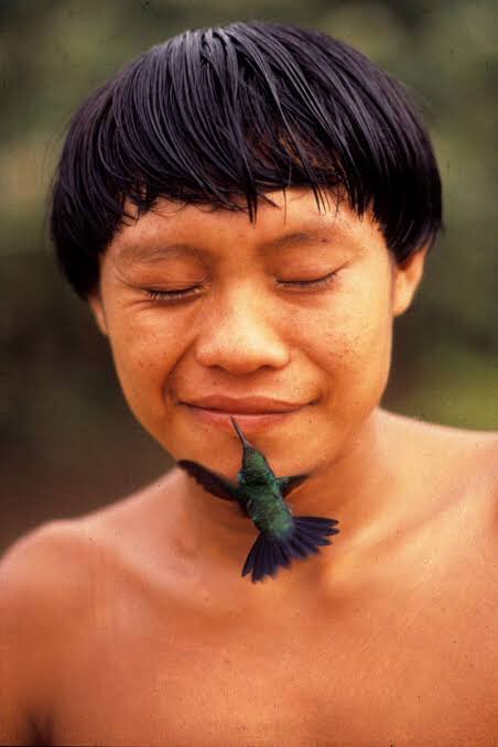 nidewana's tweet photo. Yanomami com beija-flor. 

Foto tirada por Rosa Gauditano na Aldeia Demini, Roraima, 1991. https://t.co/Tgth4tb3Al
