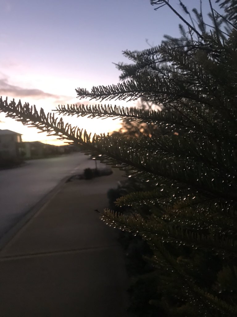 AlexandraHainsW's tweet photo. It’s the little things that count. 💚 @AlexandraHainsW
#littlethings #littlethingsinlife #littlethingsthatmakemehappy #littlethingsarebigthings #sunrise #sunrises #nature #beautiful #relaxing #serene #gorgeous #lovely #pretty #thesemornings #thesemorningsarethebest #justlovely https://t.co/m5HBLst14M