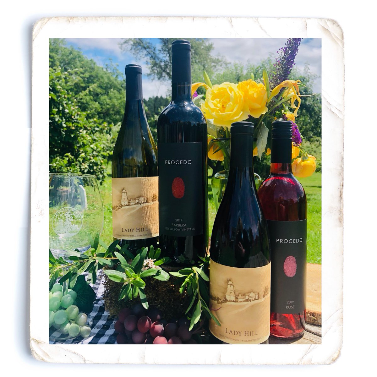 Check out our Summer Celebration pack - 4 beauties to pair with backyard picnics or barbecues - featuring our 2019 Procedo Rose, 2018 Lady Hill Chardonnay, 2018 Lady Hill Pinot Noir, and our 2017 Procedo Barbera. 21 or over. Regularly $126, now $100. ladyhill.com/store/p142/Jul…