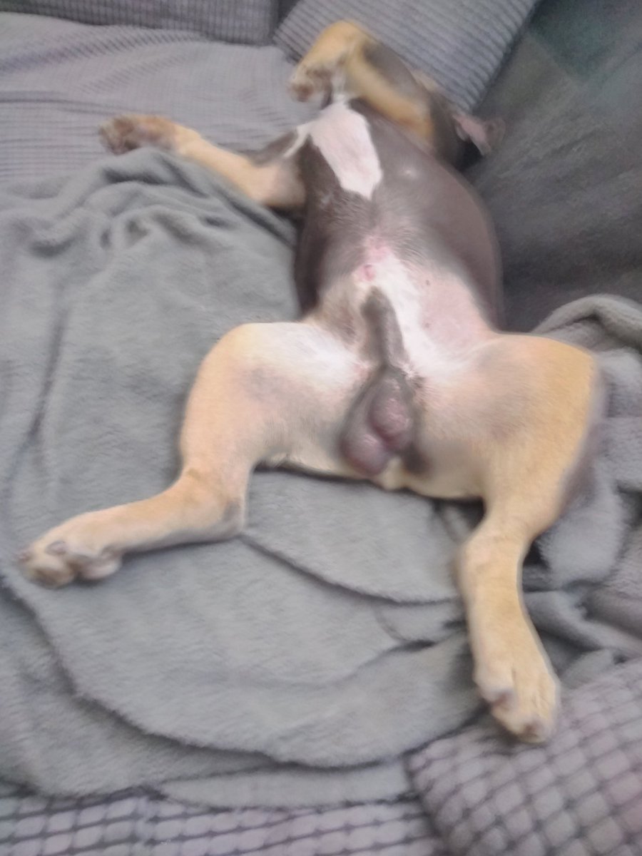 Not normal 🤣🤣🤣🤣 fast asleep