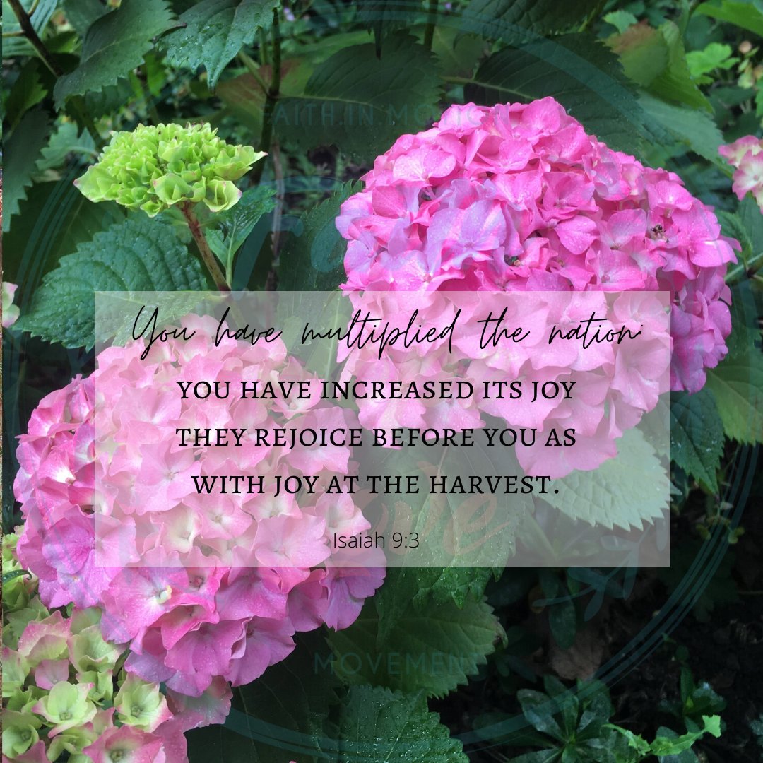 fhlmovementorg's tweet photo. The Lord will bless and renew us. He will multiply everything that is lost from abundant providence.
#faithhopelove #faithhopelovemovement #awesomegod #faithfulgod #promisekeepinggod #givethanks #almightygod #goodandgracious #providentfather #singpraise #christianliving https://t.co/CeAY6IoKG1