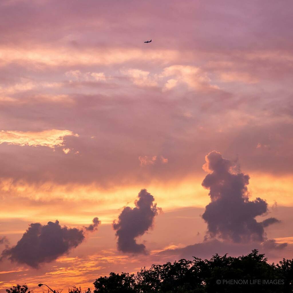 PLIworld's tweet photo. Riding the thermals #nikonz50 #sunset #lightroom #pastels #lightroommobile #takemeaway #blogto #the6ix #toronto https://t.co/mj1Zy3Ocjm https://t.co/vBYfNQxb0b https://t.co/sz6J2jDOWN