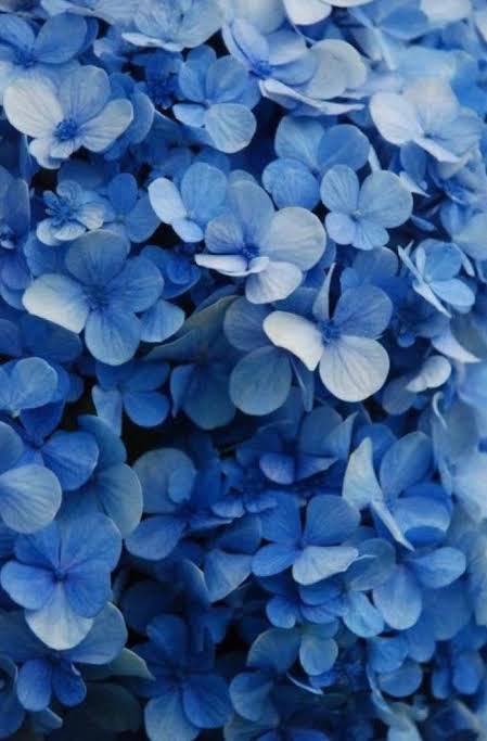 🏳️‍🌈❤️🏳️‍🌈 tweet media