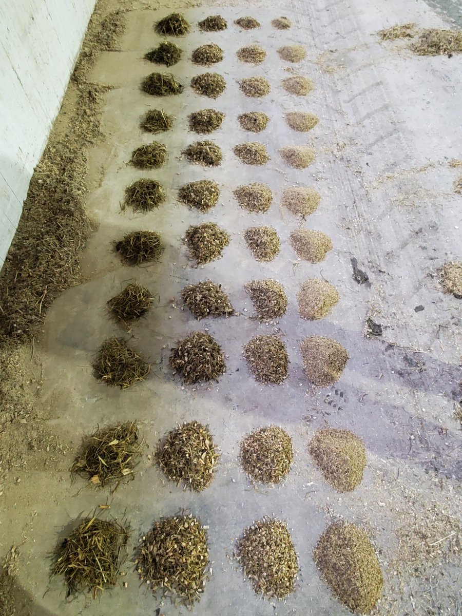 MikaylaMorden's tweet photo. Didn't need the gym today πͺ #TMRAudit #cowchow #variability https://t.co/DcqknTWOJY