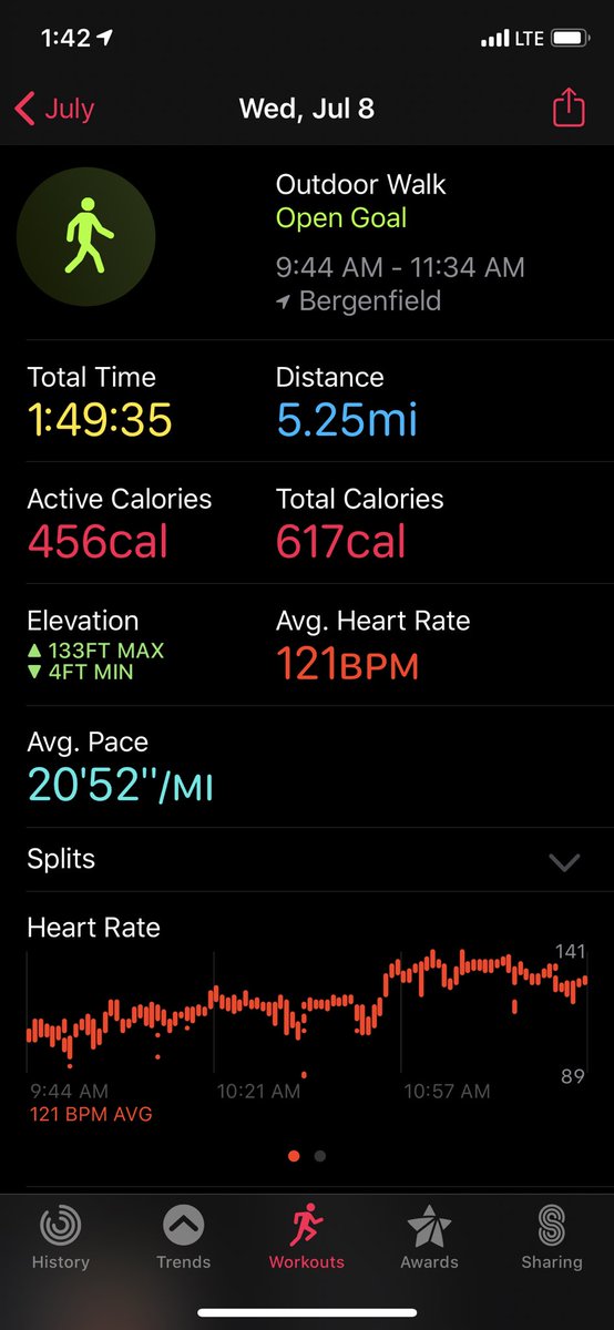 QueenDez13's tweet photo. In honor of Susan Gajderowicz I did M4C1S3 and a 5.25 mile walk. I will also do 2020 steps for her. May she Rest In Peace. Baruch Dayen Emes 😔💚 @SamHeughan @MyPeakChallenge #proudpeaker #peakersisters #peakerfamily #peakerstrong #peakersupport https://t.co/iisacpc37K