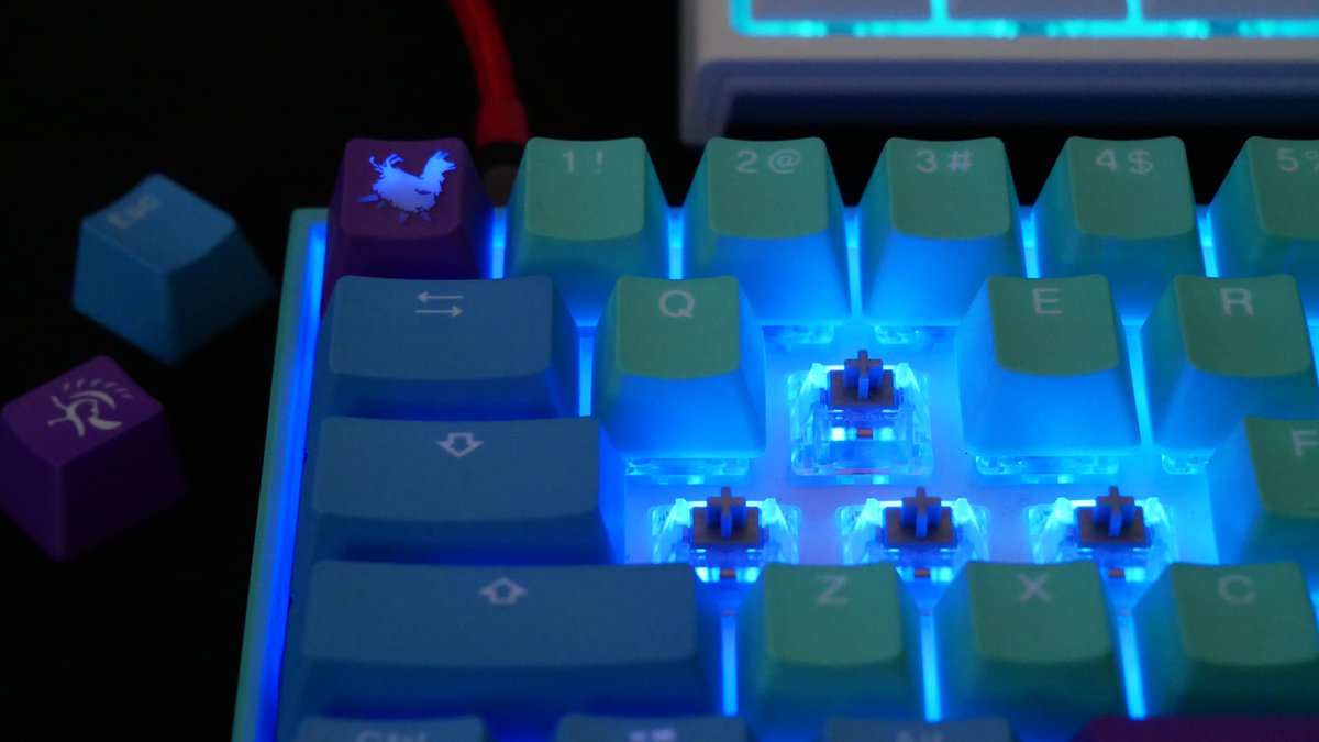 LilRiceMuncher's tweet photo. #MechanicalKeyboards #FrozenLlama #Ducky #DuckyMechaMini #FrozenLlamaMechaMini #MechaMiniV2 #LimitedEdition #CherryMX #CherryMXSpeedSilver #SpeedSilver #LilRiceMuncherGaming
✅Ducky x MK Frozen Llama Mecha Mini v2 (Affiliate Link)
https://t.co/b3nmtWUOpA https://t.co/SjIkZ7b7xi