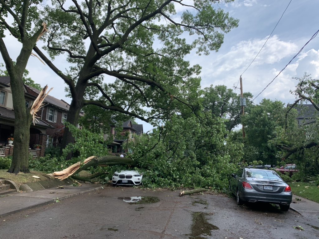 JenPinker's tweet image. My street after the #storm in Toronto today @KMacTWN