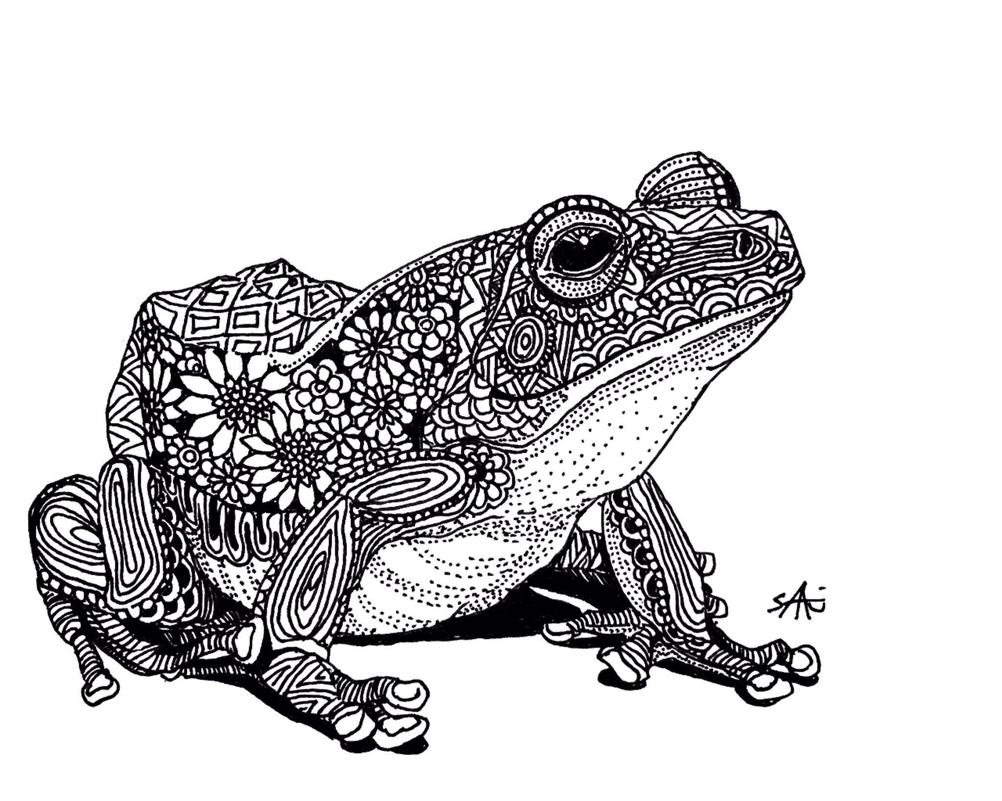 Saki ボールペン画アーティスト リクエストイラスト カエル T Co Lxunrgk0eb イラスト好きさんと繋がりたい ペン画を流してペン画民を増やそう T Co Ccio8mhsae Twitter