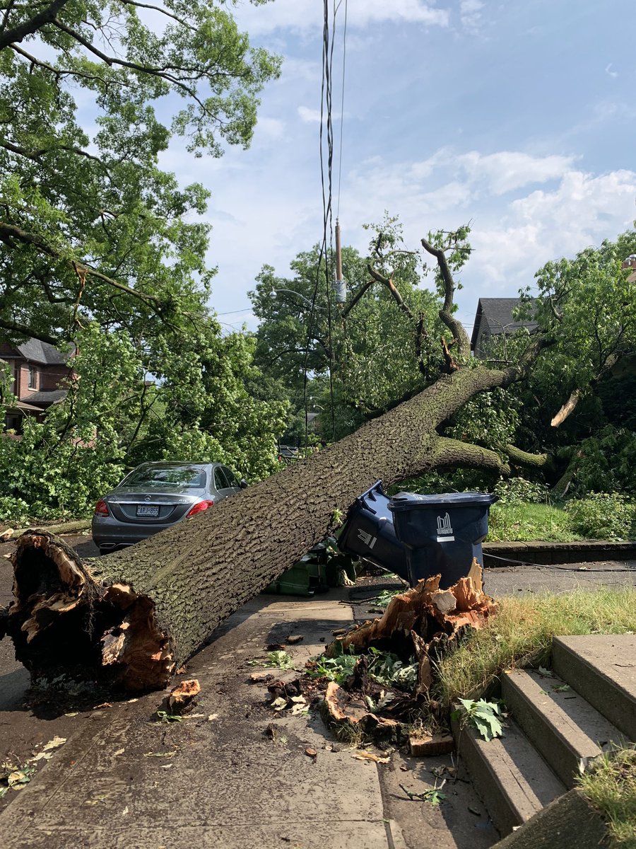 JenPinker's tweet image. After today’s storm in Toronto!