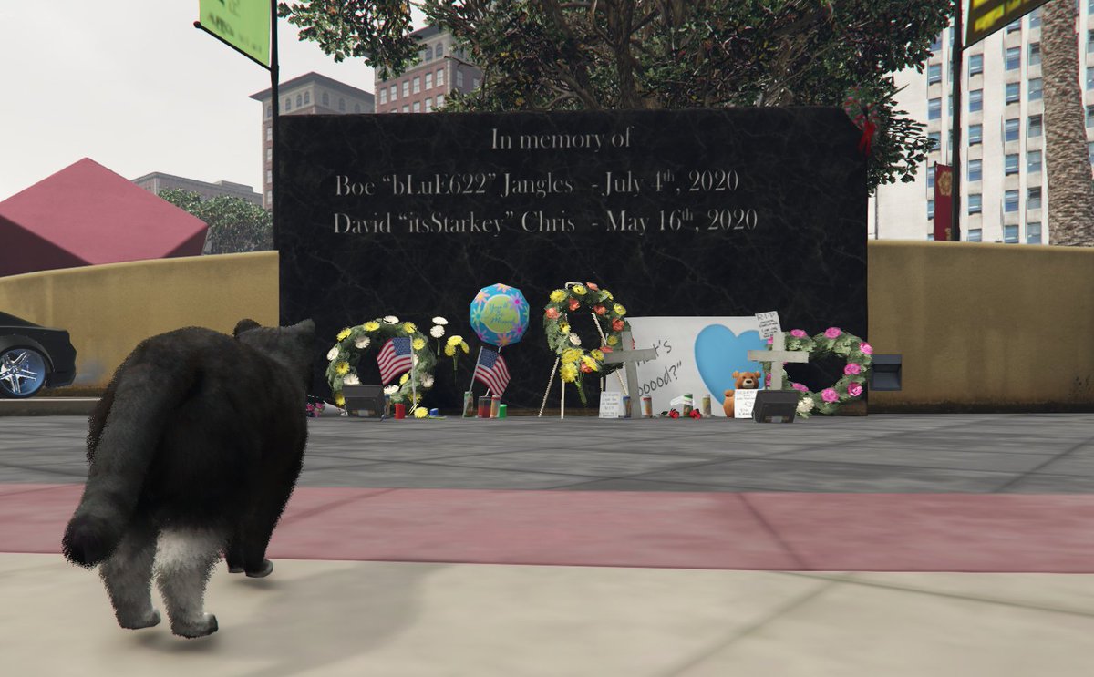 AirborneSpore's tweet photo. Forever in out hearts and never forgotten. @blue622 @StarkeySays https://t.co/c2zeLYeOvo