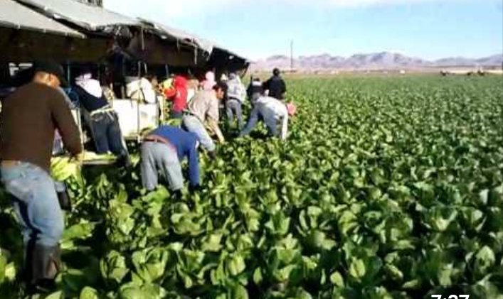 pollotapatio's tweet photo. @SenorRayas @GustavoArellano Guanajuato serves as Logistics and Supply. Kind of like battalion HQ. They will be vital in leadership and accountability tasks. "The Screaming Mayordomos" will get the job done.
#1stand2ndAmendments
#NFAC #ALVC #Primo #Cuñado https://t.co/86jGqcUL1A
