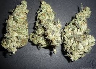 BitzSheldom's tweet photo. 私たちは最高品質の大麻、ジアゼパム、ほとんど、lsd、xanax、モリー、サイケデリックを手に入れました...詳細については、Dm me：line：hoffman420👇 https://t.co/BZ9utNxEzA