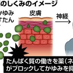 アトピー性皮膚炎患者に朗報!京大チームが新薬開発中!