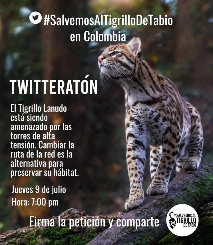 HectorAterciopelados 🌳 tweet media