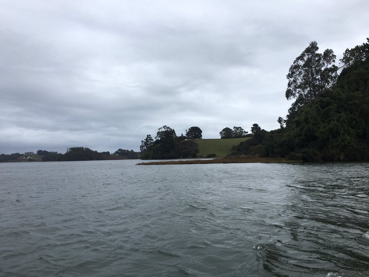 BudiMapu's tweet photo. Navegamos para ir en entrega de apoyo personal y un aporte del municipio de @MunicipioSaaved #islapilar #lagobudi #kellu #kelluwun en tiempos de Covd https://t.co/f5HYXu92Xd
