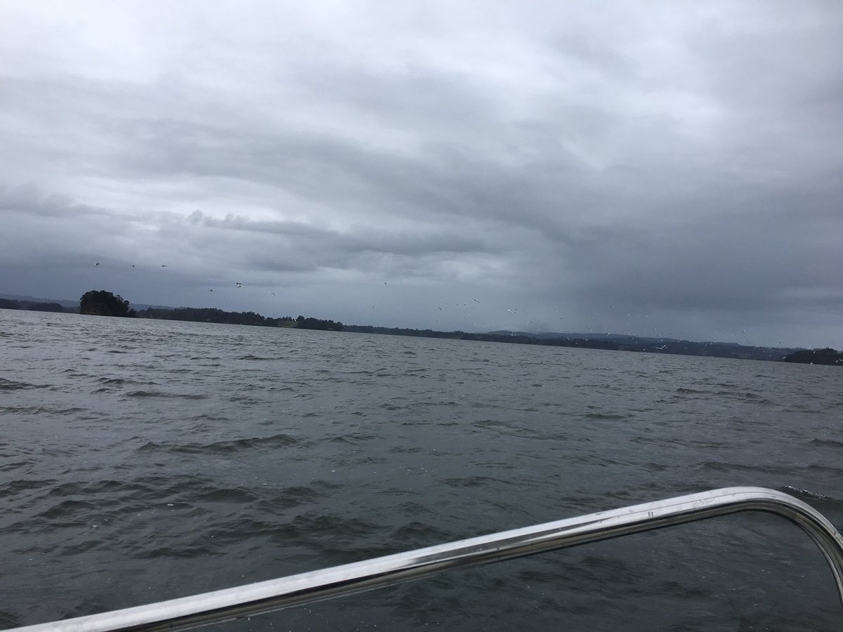 BudiMapu's tweet photo. Navegamos para ir en entrega de apoyo personal y un aporte del municipio de @MunicipioSaaved #islapilar #lagobudi #kellu #kelluwun en tiempos de Covd https://t.co/f5HYXu92Xd