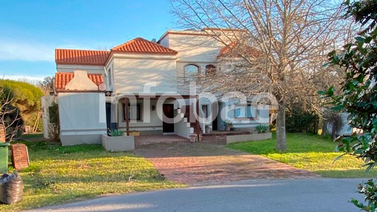 Guadalupe Vázquez Oficial🌱 tweet media