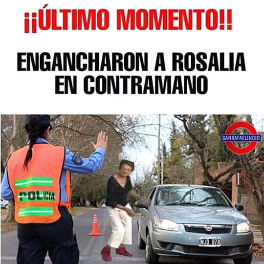 PachanTorres's tweet photo. Noooooo Rosalia 💃😂 https://t.co/61rcRkc5hN