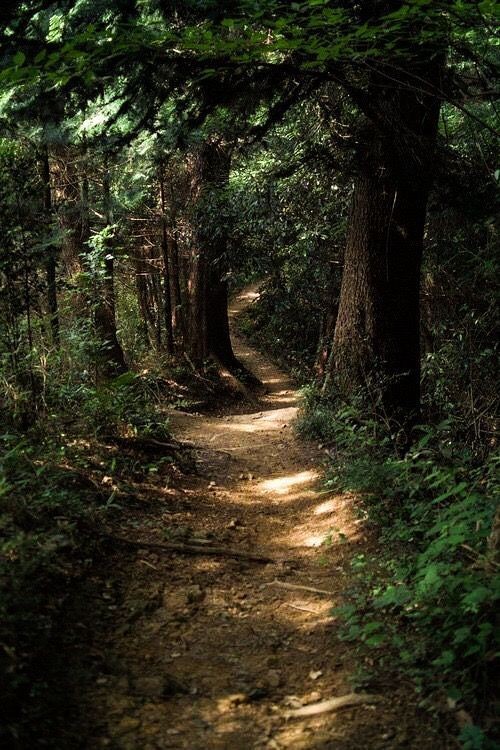LilGreenthin's tweet photo. ℙ𝕖𝕥𝕖𝕣 ℙ𝕒𝕟

❝ꪗꪮꪊ 𝕜ꪀꪮ᭙ ꪑꫀ, ꪗꪮꪊ 𝕛ꪊડ𝕥 ᦔꪮꪀ'𝕥 ᭙ꪖꪀ𝕥 𝕥ꪮ 𝕣ꫀꪑꫀꪑ᥇ꫀ𝕣.❞

→ ꜱᴘᴇᴀᴋ + ᴅᴇꜱᴄʀɪᴘᴛɪᴠᴇ + ɴꜱꜰᴡ
→ ᴍᴀᴛᴜʀᴇ &amp; ᴅᴀʀᴋ ᴛʜᴇᴍᴇ
→ ꜱʜɪᴘ ᴡ/ ᴄʜᴇᴍ
→ 🇫🇷 &amp; 🇬🇧
→ ɢᴏ ʙᴇʟᴏᴡ ꜰᴏʀ ᴀ ᴘʀᴀɴᴋ https://t.co/ne21wA7ypq
