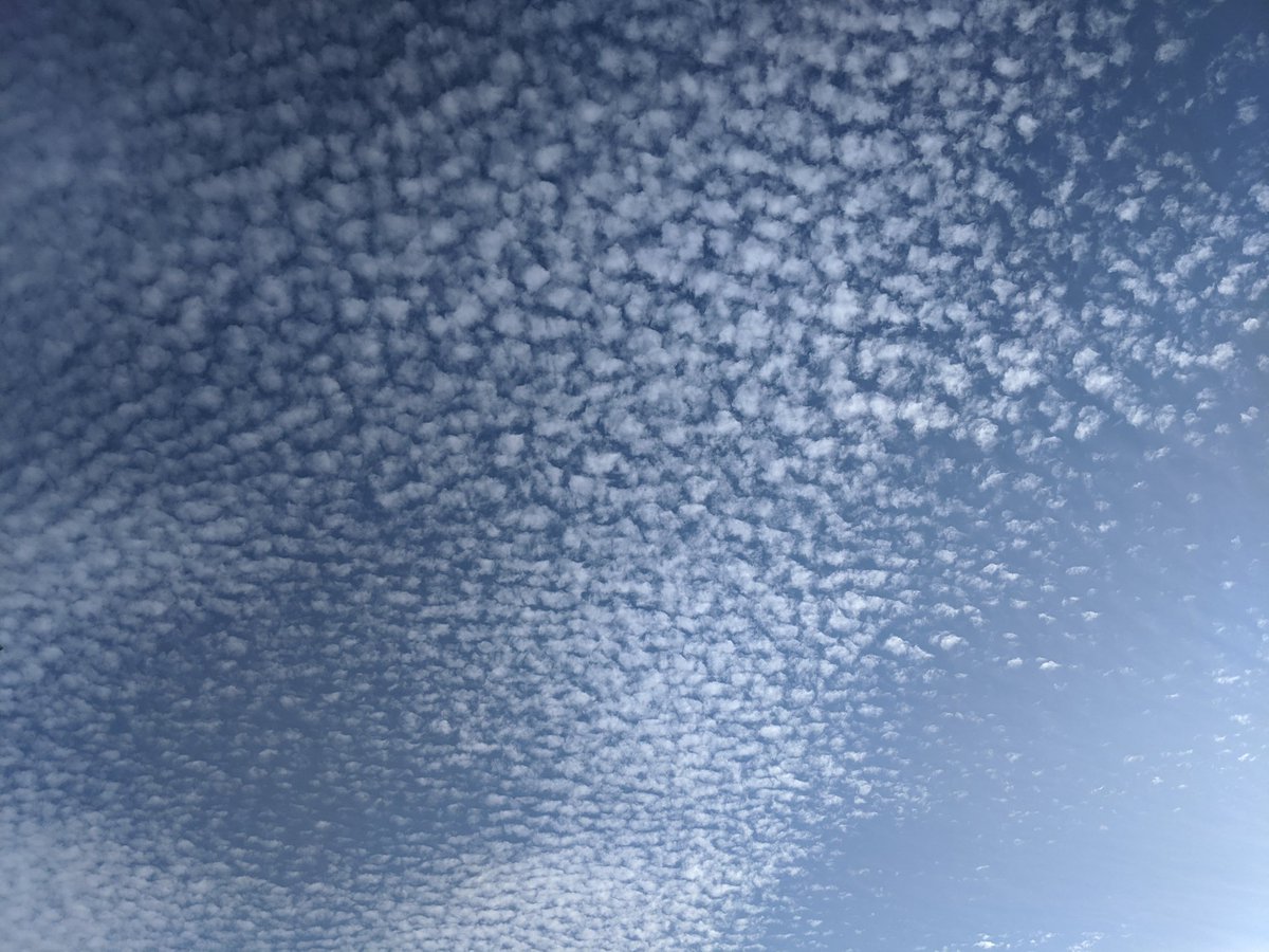 summerchic45's tweet photo. What I see when I look up! ⛅ #PopcornClouds #SkyWatching https://t.co/P7YX4AOvIQ