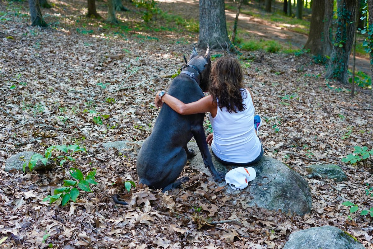GabbyDoo5's tweet photo. Me and My Best Friend... #greatdane #lovemydog #bluegreatdane #servicedog #offleashk9training #myguardianangel https://t.co/Vo9MNT6CKL