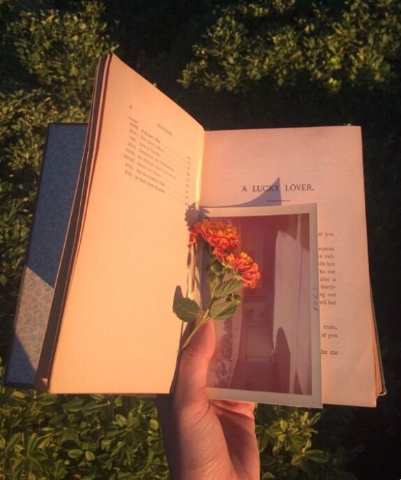 ZoePerspectiva's tweet image. Google your name + book + aesthetic
. . .

Parecen dos estilos muy diferentes... tal vez porque sea indecisa ?#libravibes ✨🤡