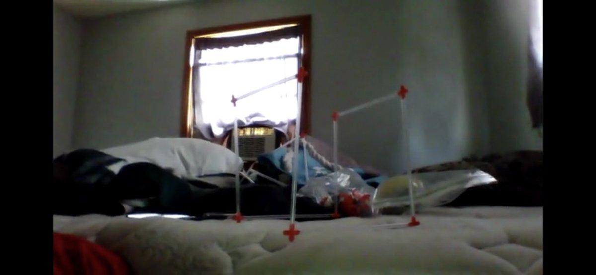 Megan Bowie tweet media