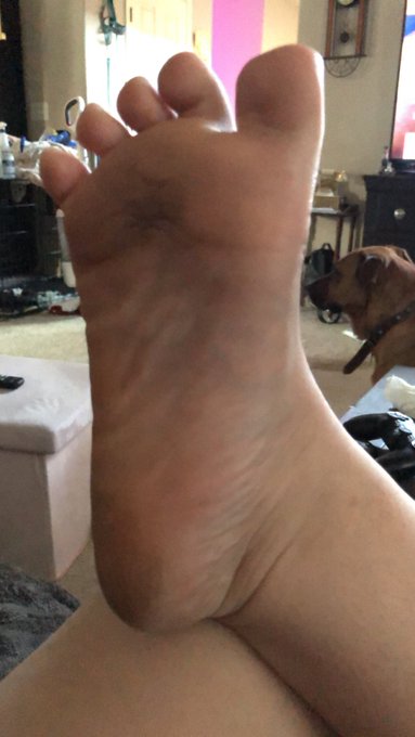 These dirty little feet have been on the move all day! #footfettish #feetpicforsale #paypiggie $end https://t<a href="/tag/footfettish"class="tags"><span>#footfettish</span></a><a href="/tag/paypiggie"class="tags"><span>#paypiggie</span></a><a href="/tag/feetpicforsale"class="tags"><span>#feetpicforsale</span></a>