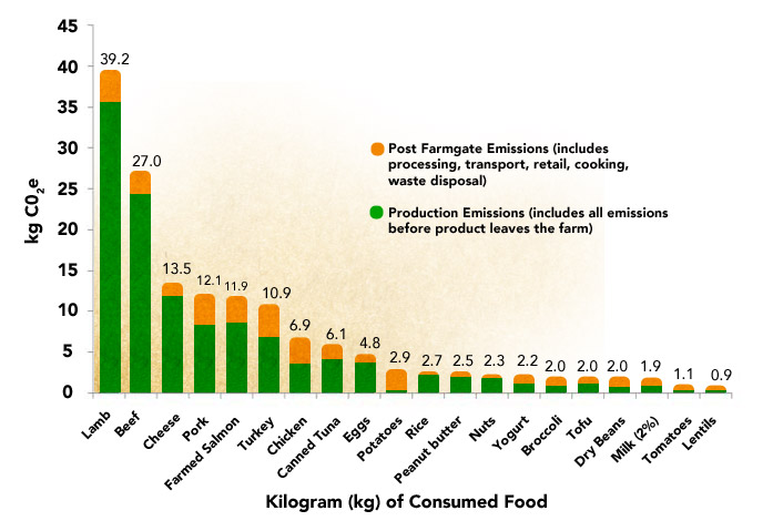 @Kellan_Larson @peterman_t @jezra1798 @displacedviet This is not necessarily healthy for everyone, but people whose diets require meat could eat chicken instead. Producing beef releases 3-5x more greenhouse gases than poultry by weight/calorie