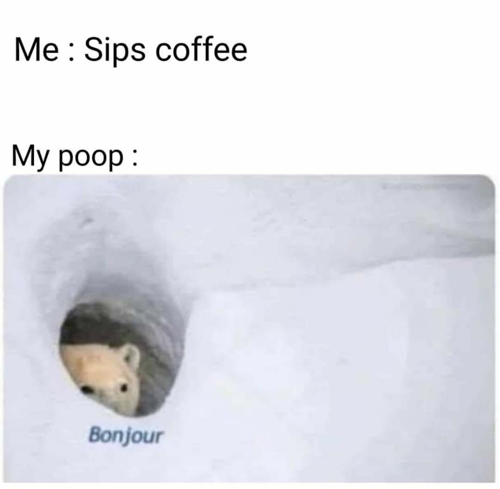 iFunny (@ifunny) on Twitter photo 