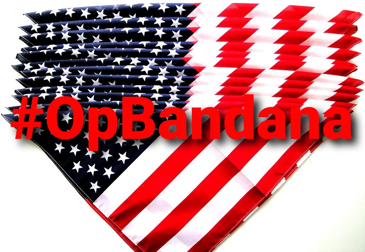 (2) If you have to wear a mask, wear an American Flag Bandana instead. If you don't wear a mask, wear the bandana hanging from your belt loop or pocket, put it around your neck, in your hair, around your head, on your purse or around your arm. Make sure it's safe, clean & visible